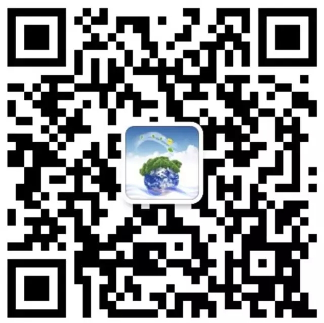 4231.webp.jpg
